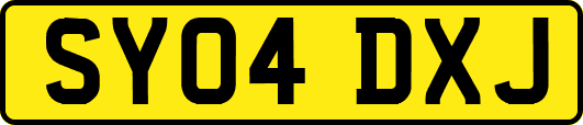 SY04DXJ