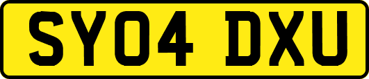 SY04DXU