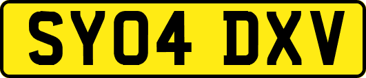 SY04DXV