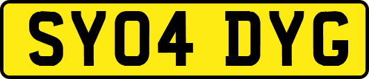SY04DYG
