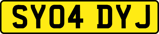 SY04DYJ