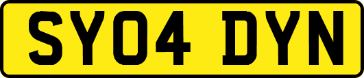 SY04DYN