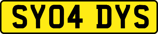 SY04DYS