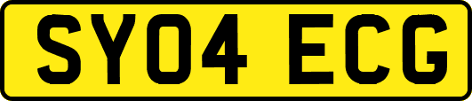 SY04ECG
