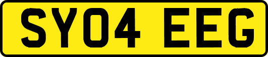 SY04EEG