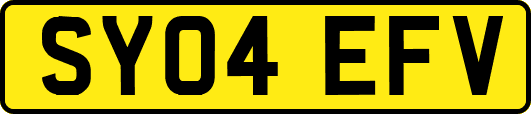 SY04EFV