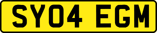 SY04EGM