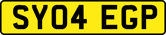 SY04EGP