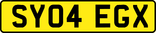 SY04EGX