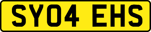 SY04EHS