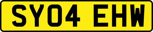 SY04EHW