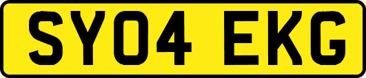 SY04EKG