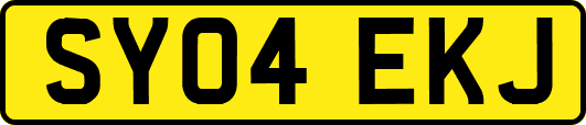 SY04EKJ