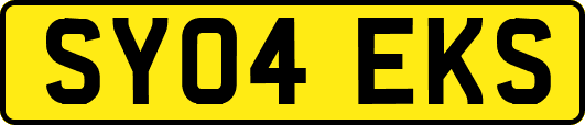 SY04EKS