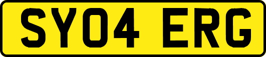 SY04ERG
