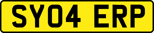 SY04ERP