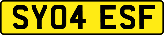 SY04ESF