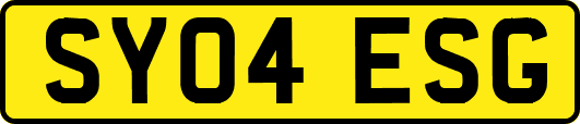 SY04ESG