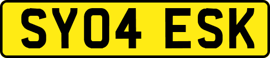 SY04ESK