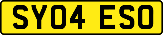 SY04ESO