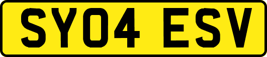 SY04ESV