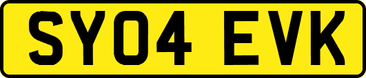 SY04EVK