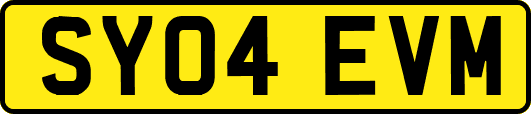 SY04EVM