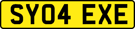 SY04EXE