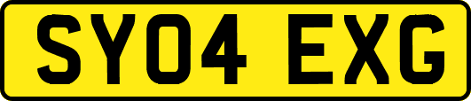 SY04EXG
