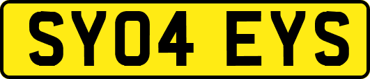 SY04EYS