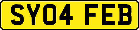 SY04FEB