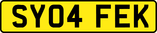 SY04FEK