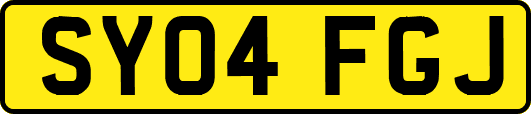 SY04FGJ