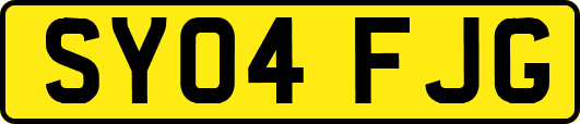 SY04FJG