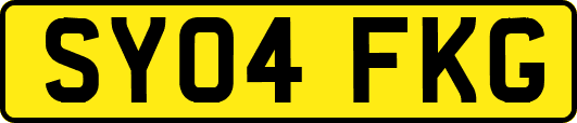 SY04FKG