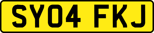 SY04FKJ