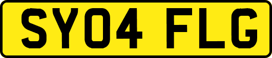 SY04FLG