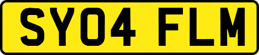 SY04FLM