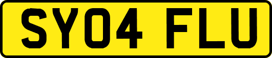 SY04FLU