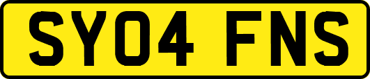SY04FNS