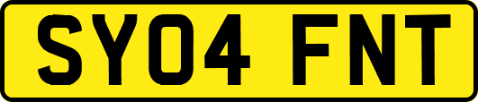 SY04FNT