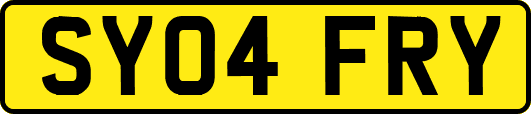 SY04FRY