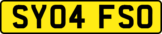 SY04FSO