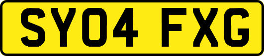SY04FXG