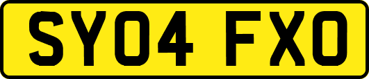 SY04FXO