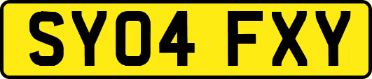 SY04FXY