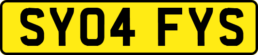SY04FYS