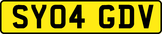 SY04GDV