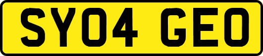 SY04GEO