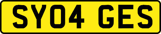 SY04GES